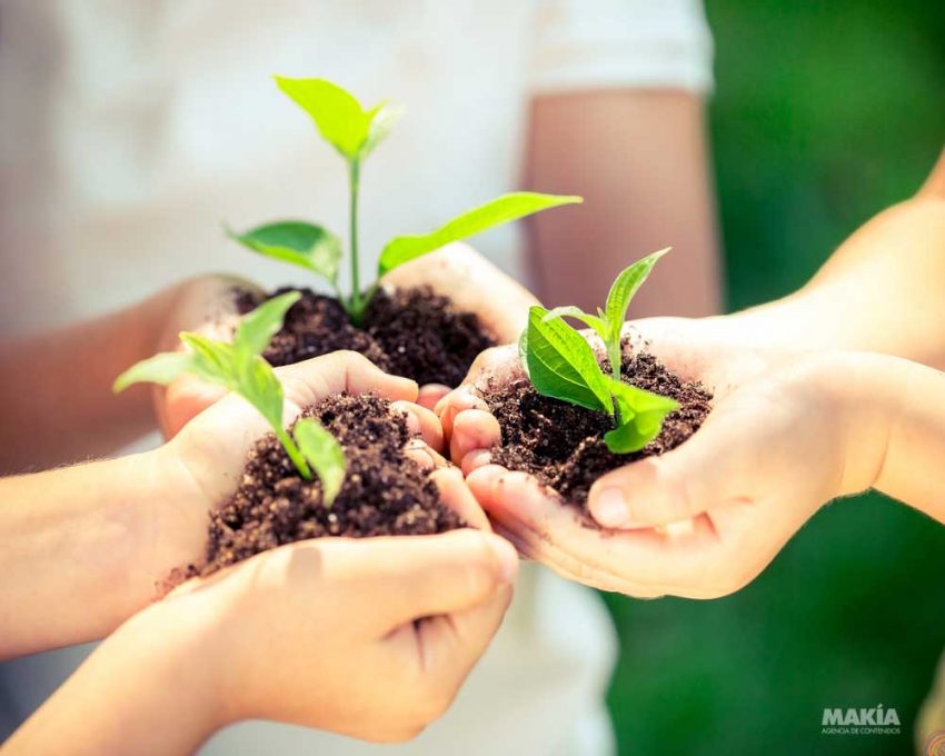 acciones para cuidar el medio ambiente Makía